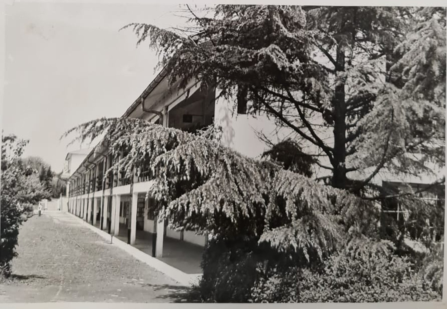 Derneğin tarihinden bir fotoğraf